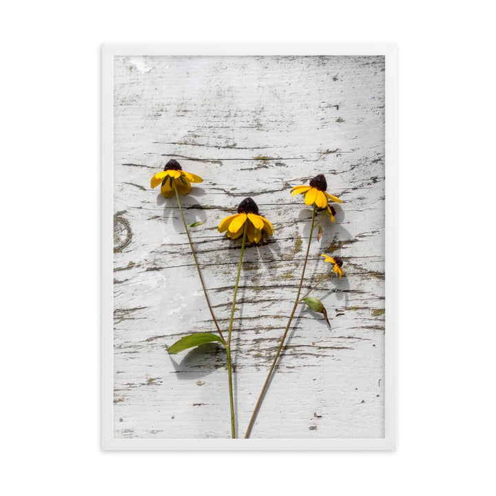 gelbe Blumen 7 - Poster im Rahmen Weiß / 50×70 cm artlia