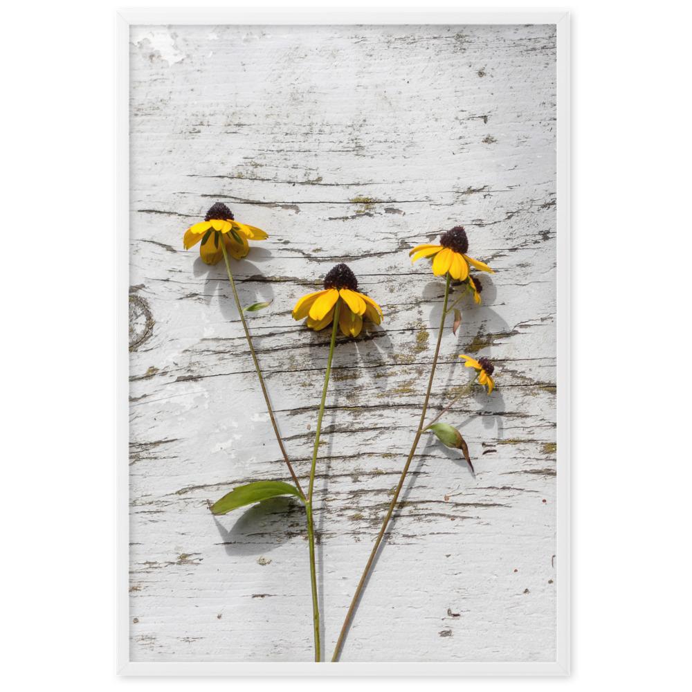 gelbe Blumen 7 - Poster im Rahmen Weiß / 61×91 cm artlia