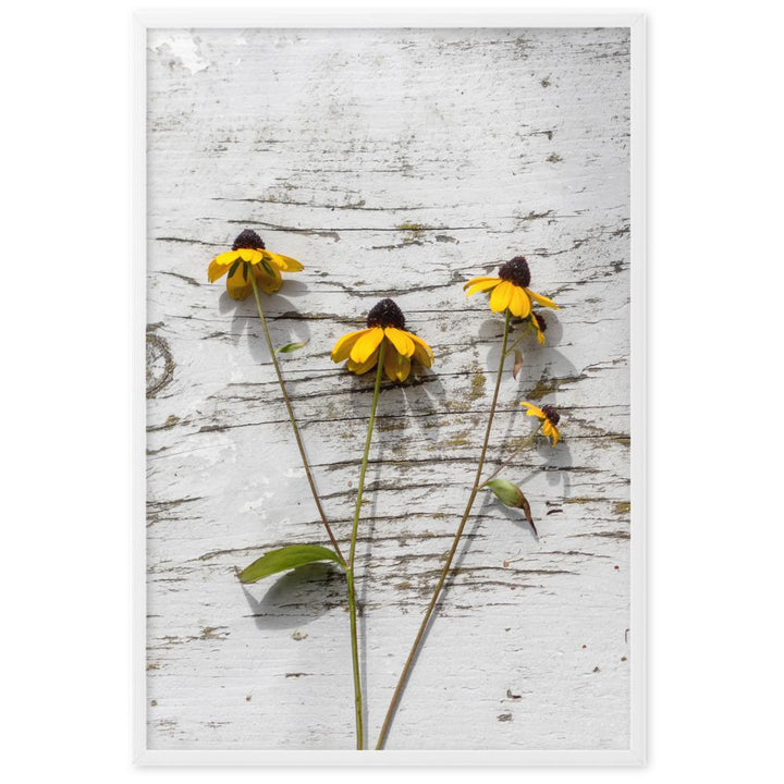 gelbe Blumen 7 - Poster im Rahmen Weiß / 61×91 cm artlia