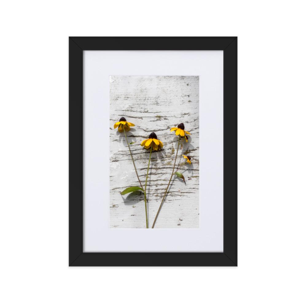 gelbe Blumen 7 - Poster im Rahmen mit Passepartout Schwarz / 21×30 cm artlia