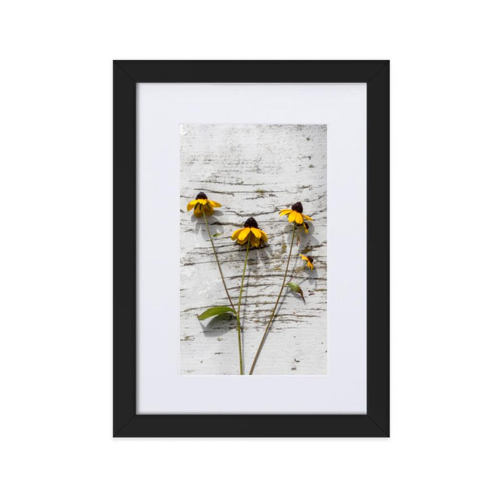 gelbe Blumen 7 - Poster im Rahmen mit Passepartout Schwarz / 21×30 cm artlia