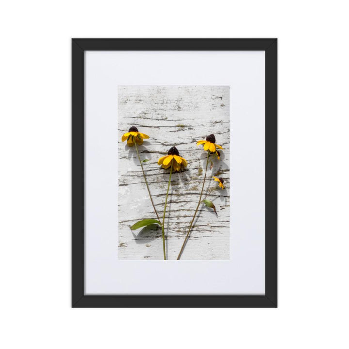 gelbe Blumen 7 - Poster im Rahmen mit Passepartout Schwarz / 30×40 cm artlia