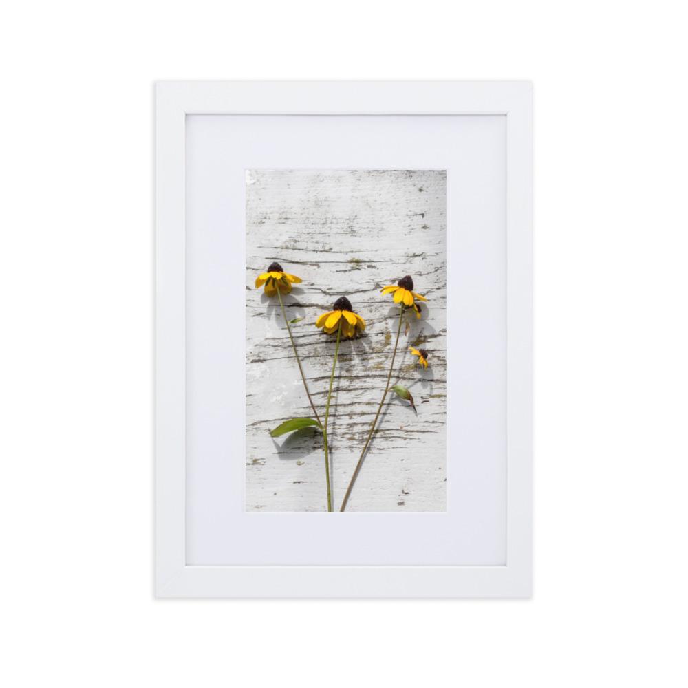 gelbe Blumen 7 - Poster im Rahmen mit Passepartout Weiß / 21×30 cm artlia