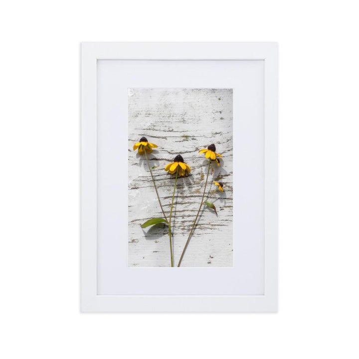 gelbe Blumen 7 - Poster im Rahmen mit Passepartout Weiß / 21×30 cm artlia