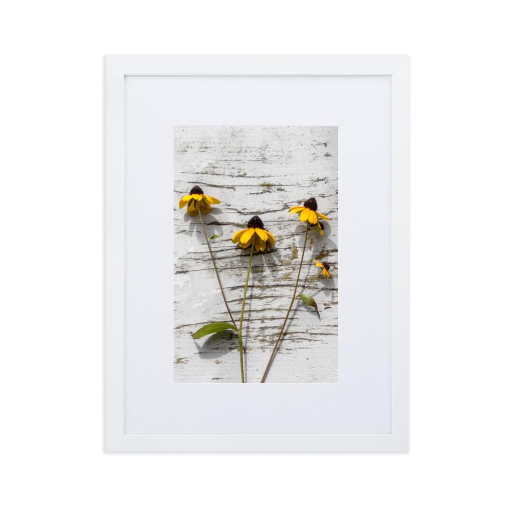 gelbe Blumen 7 - Poster im Rahmen mit Passepartout Weiß / 30×40 cm artlia