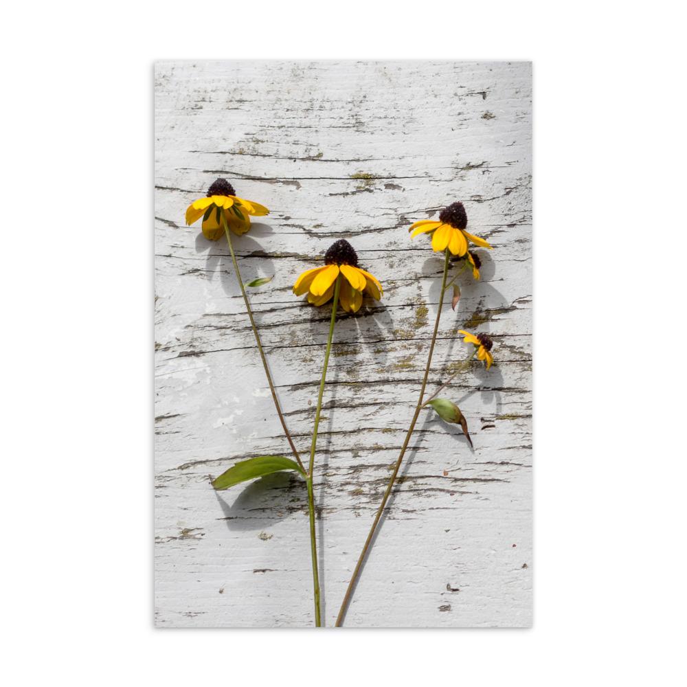 gelbe Blumen 7 - Postkarte artlia