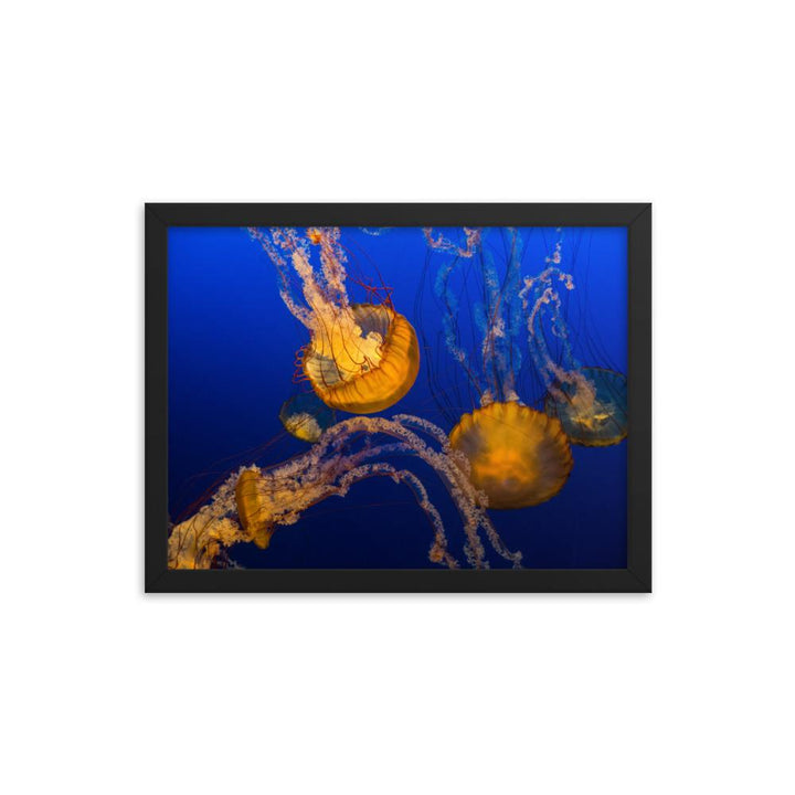 Gelbe Qualle - Poster im Rahmen schwarz / 30x41 cm artlia