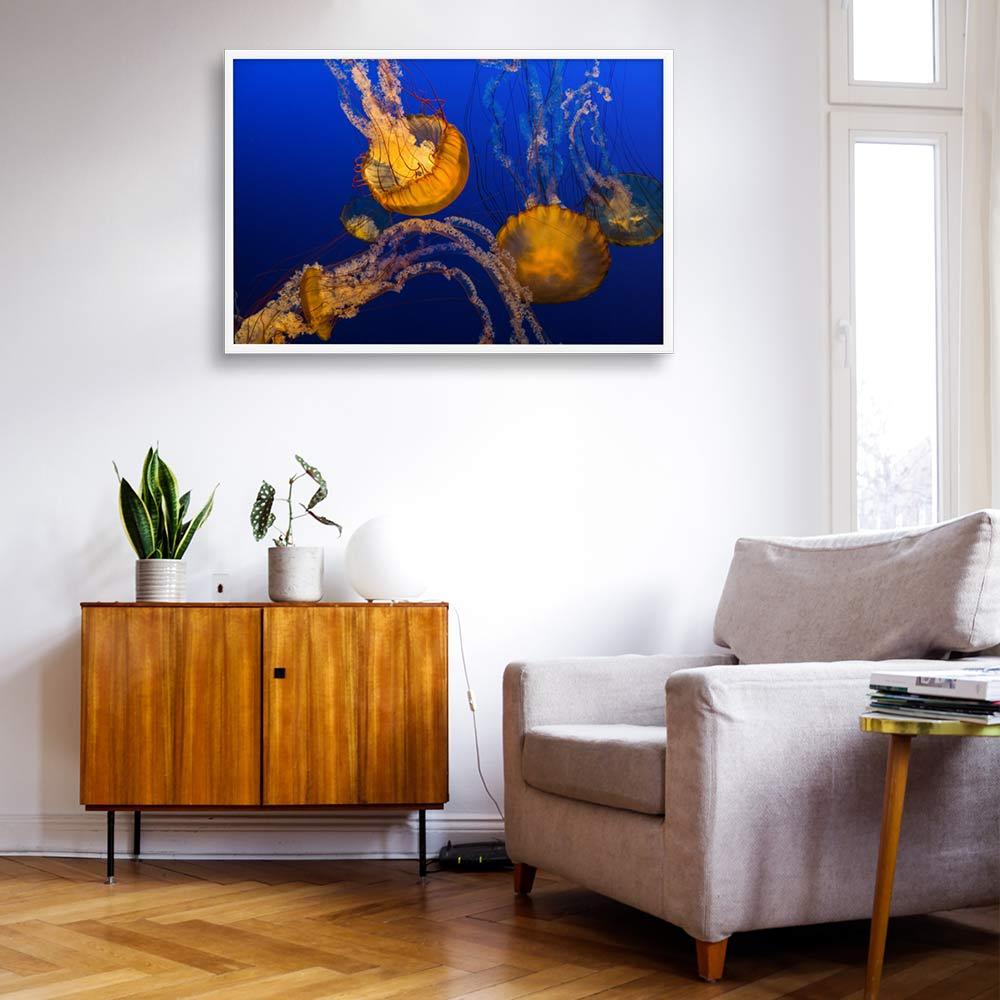 Gelbe Qualle - Poster im Rahmen weiß / 61x91 cm artlia