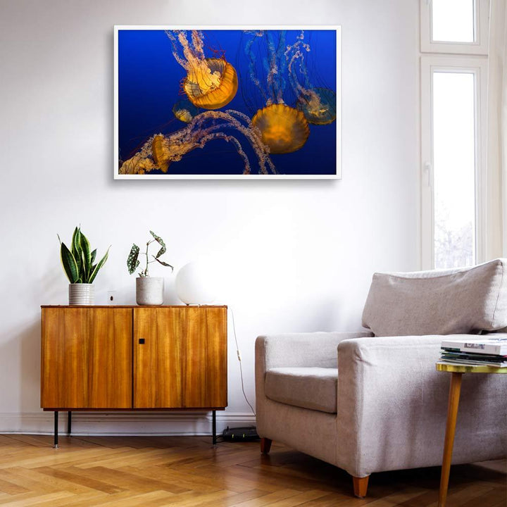 Gelbe Qualle - Poster im Rahmen weiß / 61x91 cm artlia