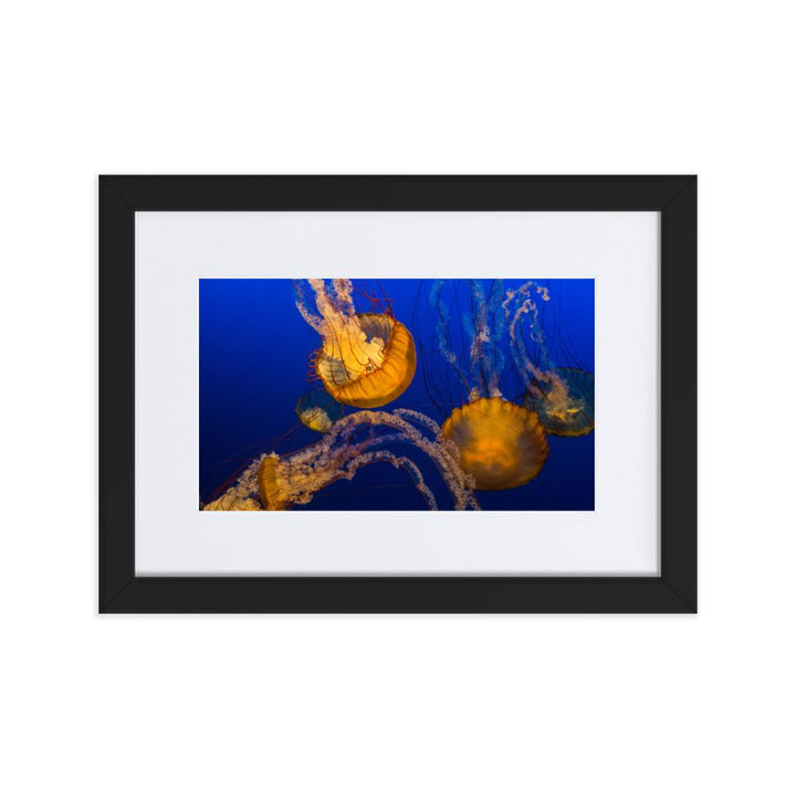 Gelbe Qualle - Poster im Rahmen mit Passepartout schwarz / 21×30 cm artlia