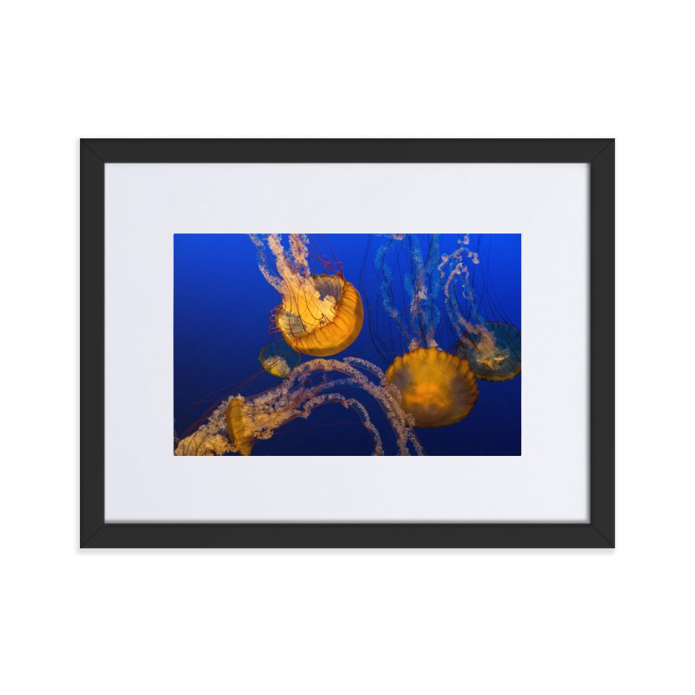 Gelbe Qualle - Poster im Rahmen mit Passepartout schwarz / 30×40 cm artlia