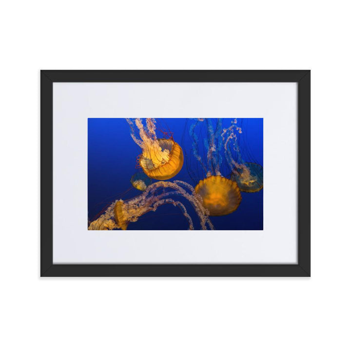 Gelbe Qualle - Poster im Rahmen mit Passepartout schwarz / 30×40 cm artlia