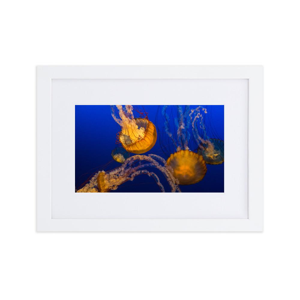 Gelbe Qualle - Poster im Rahmen mit Passepartout weiß / 21×30 cm artlia