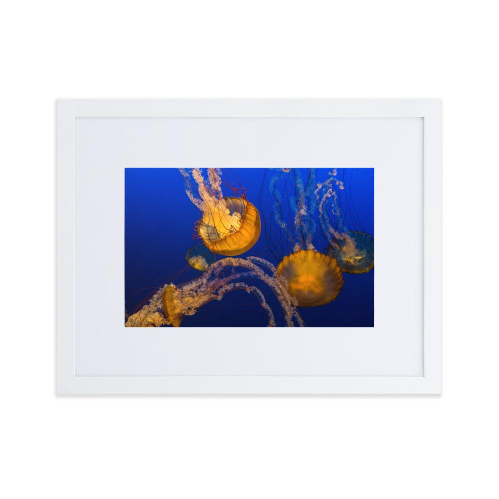 Gelbe Qualle - Poster im Rahmen mit Passepartout weiß / 30×40 cm artlia