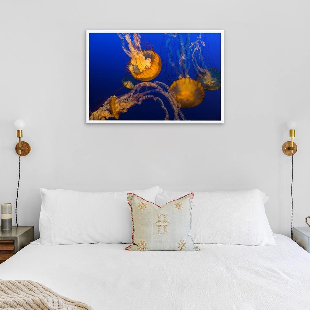 Gelbe Qualle - Poster 61x91 cm artlia