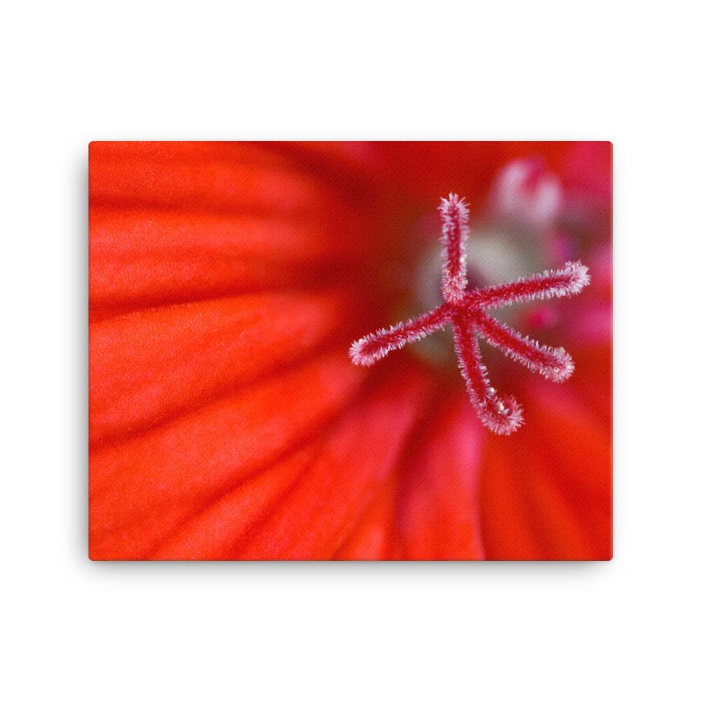 Geranie - Leinwand 41x51 cm artlia