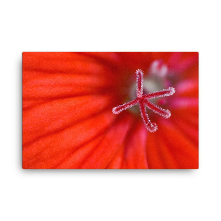 Geranie - Leinwand 61x91 cm artlia