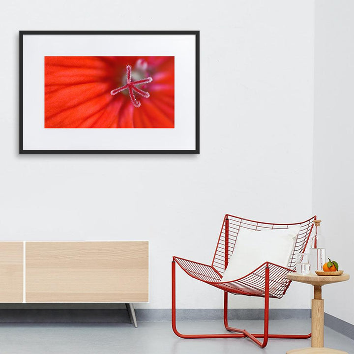 Geranie - Poster im Rahmen mit Passepartout artlia