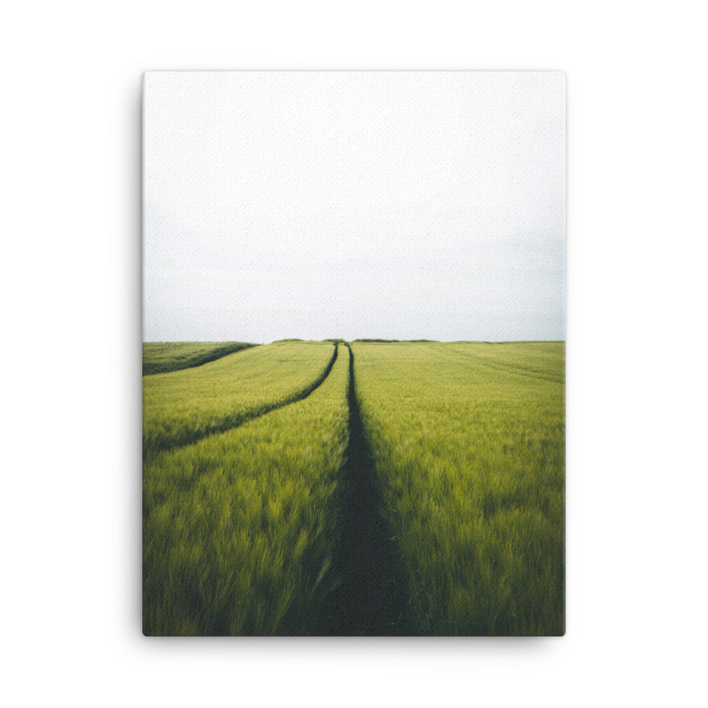 Gerstenfeld barley field - Leinwand 30x41 cm artlia
