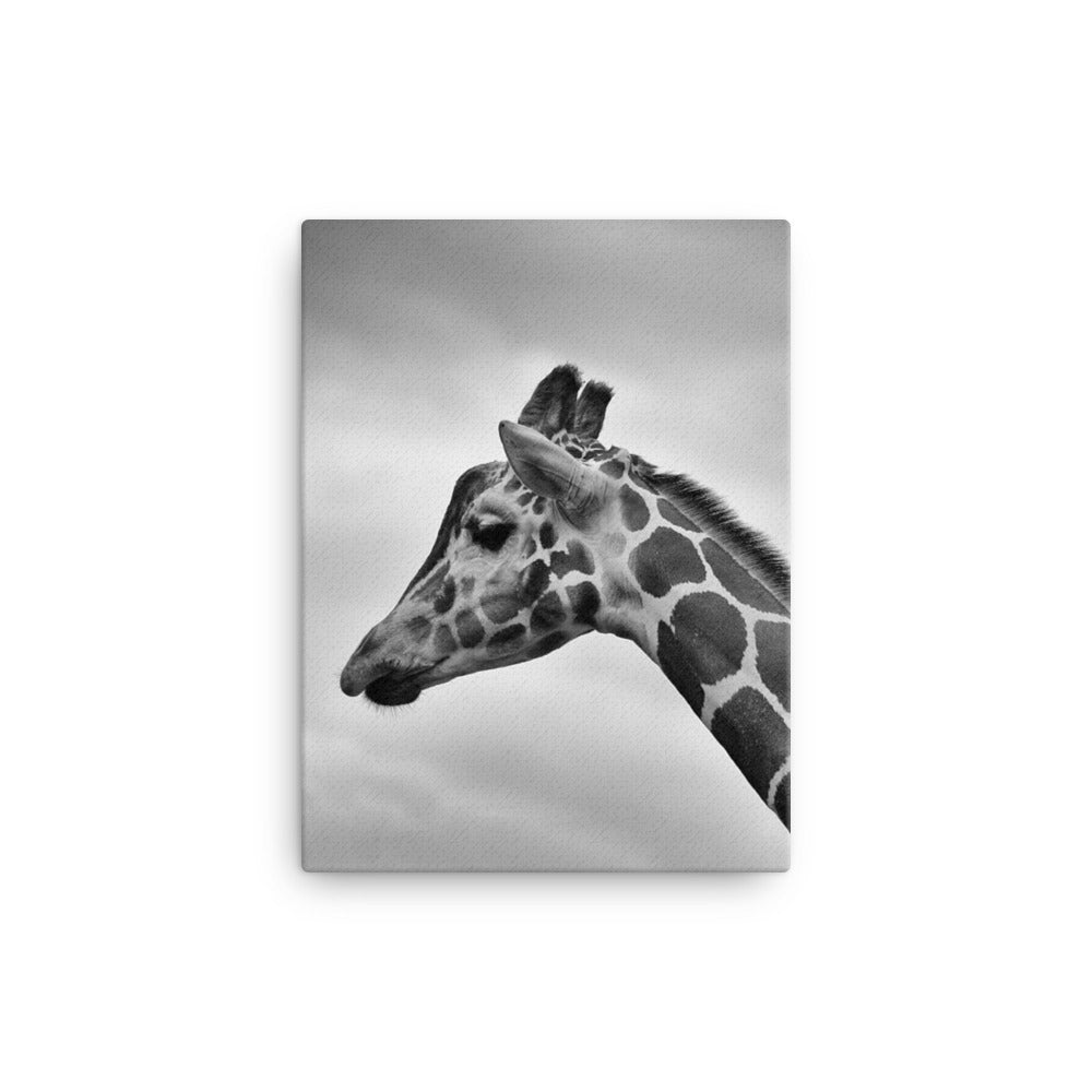Giraffe - Leinwand 30x41 cm artlia