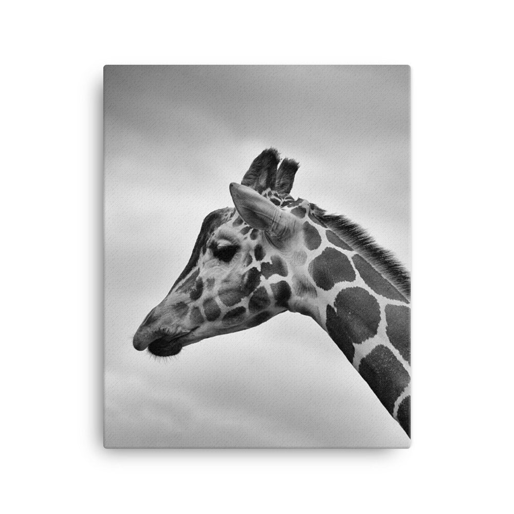 Giraffe - Leinwand 41x51 cm artlia