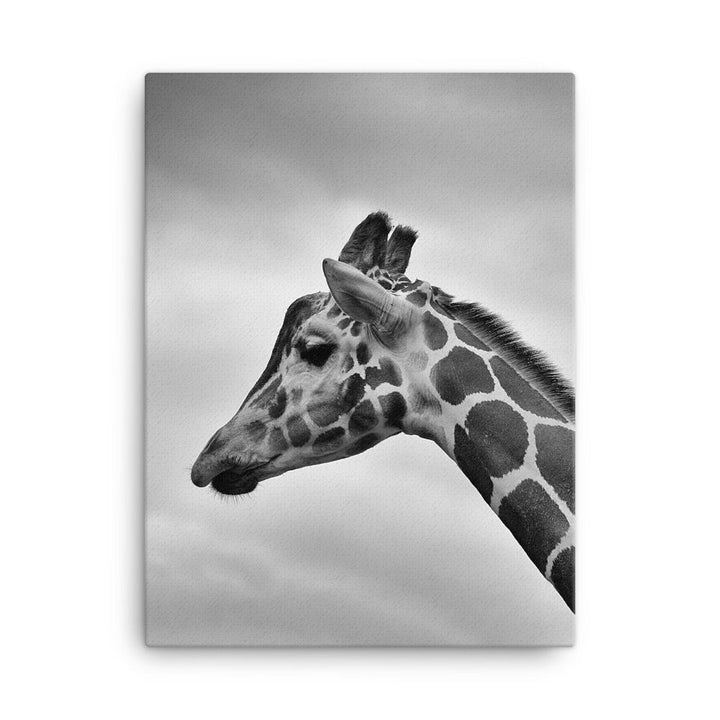 Giraffe - Leinwand 46x61 cm artlia