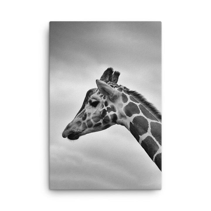 Giraffe - Leinwand 61x91 cm artlia