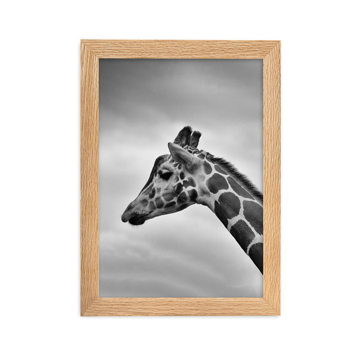 Giraffe - Poster im Rahmen Oak / 21×30 cm artlia