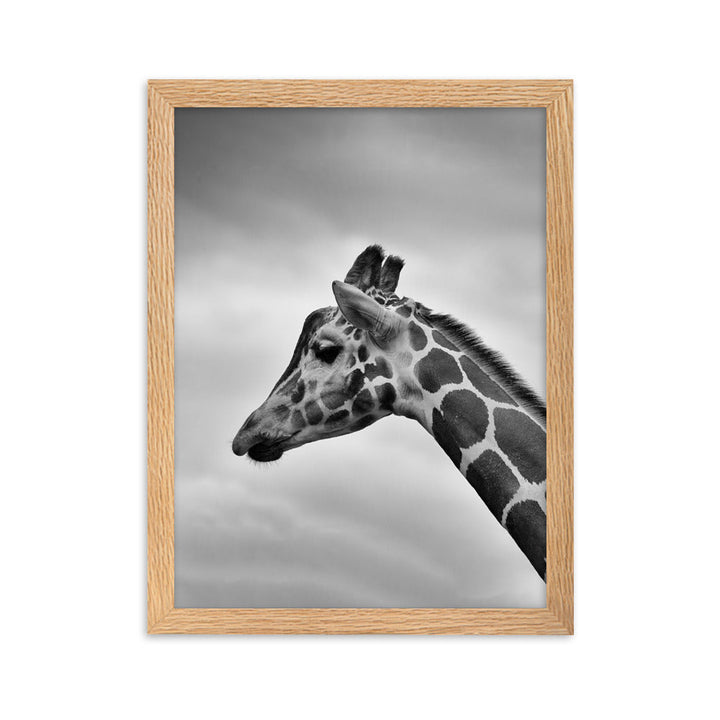 Giraffe - Poster im Rahmen Oak / 30×40 cm artlia