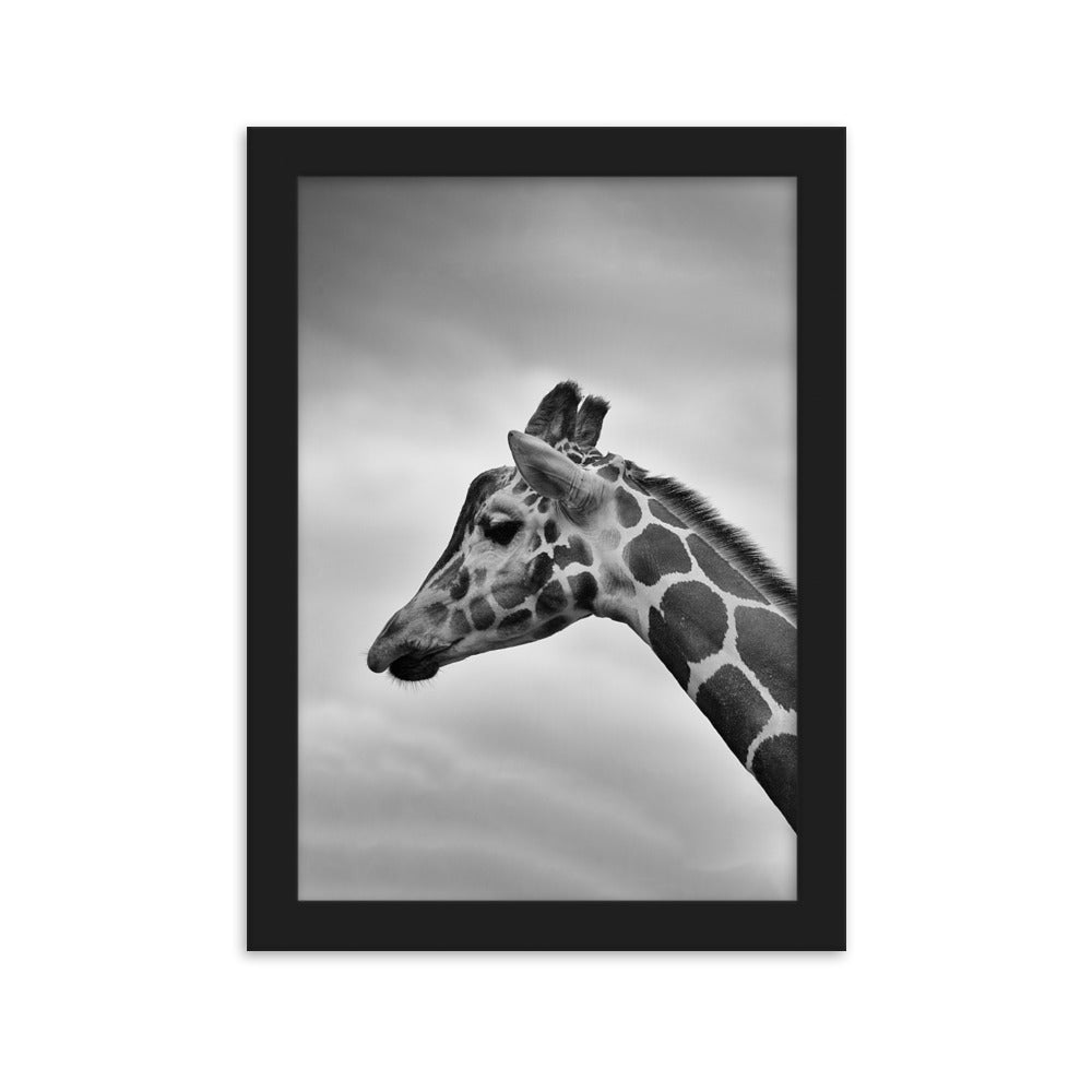 Giraffe - Poster im Rahmen Schwarz / 21×30 cm artlia