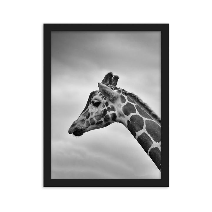 Giraffe - Poster im Rahmen Schwarz / 30×40 cm artlia