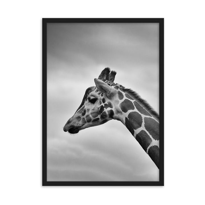 Giraffe - Poster im Rahmen Schwarz / 50×70 cm artlia