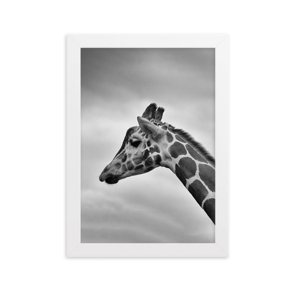 Giraffe - Poster im Rahmen Weiß / 21×30 cm artlia