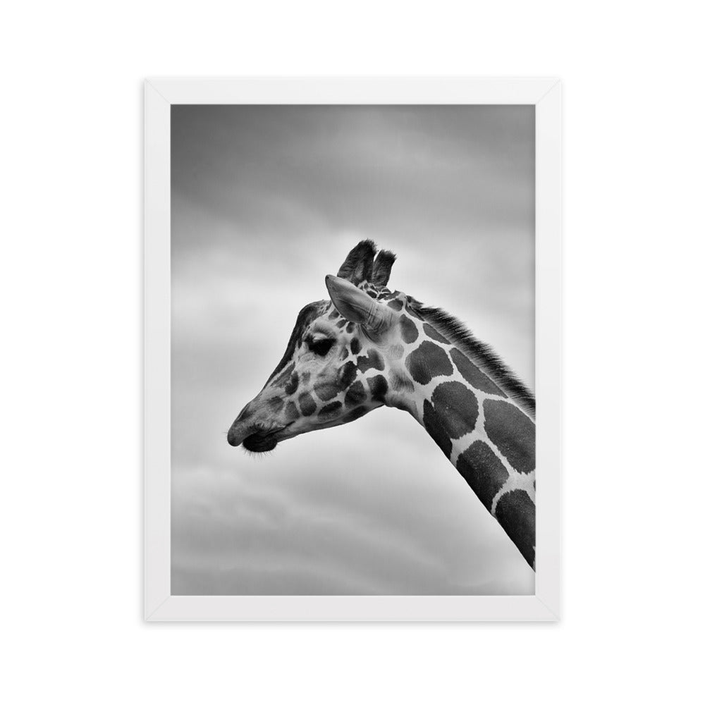 Giraffe - Poster im Rahmen Weiß / 30×40 cm artlia