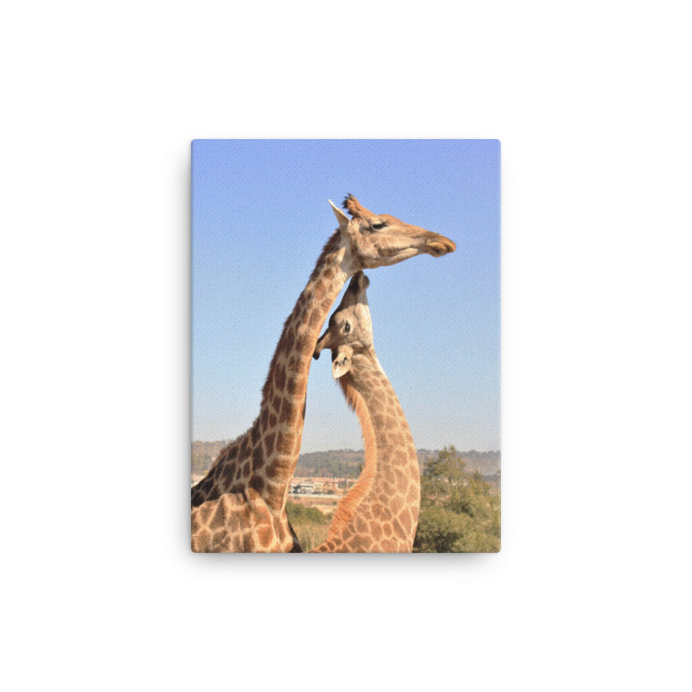 Giraffen - Leinwand 30x41 cm artlia