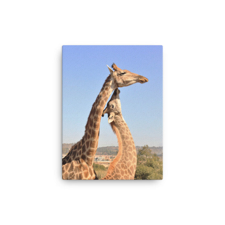 Giraffen - Leinwand 30x41 cm artlia
