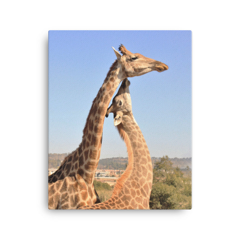 Giraffen - Leinwand 41x51 cm artlia