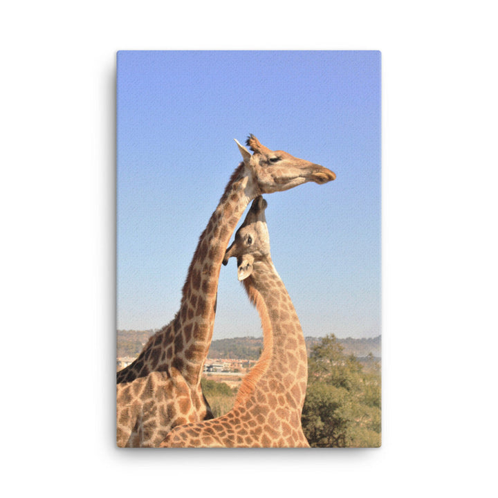 Giraffen - Leinwand 61x91 cm artlia