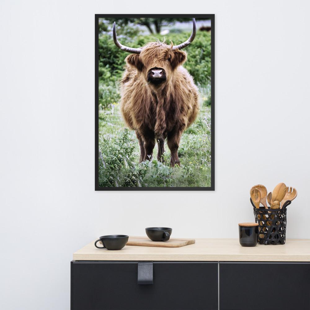 Highland cattle - Poster im Rahmen artlia