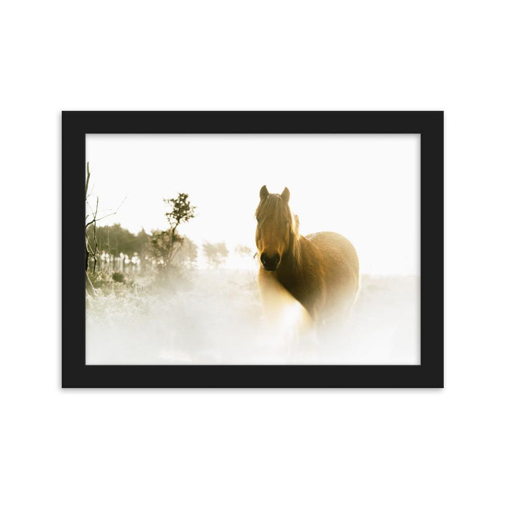 Pferd im Traum - Poster im Rahmen Schwarz / 21×30 cm artlia