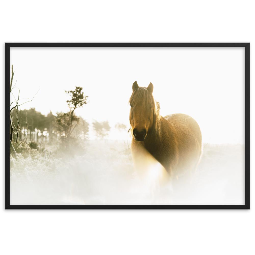 Pferd im Traum - Poster im Rahmen Schwarz / 61×91 cm artlia