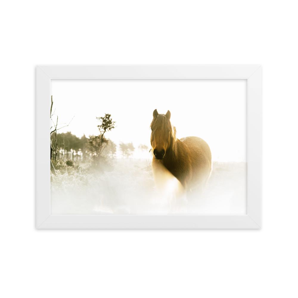 Pferd im Traum - Poster im Rahmen Weiß / 21×30 cm artlia