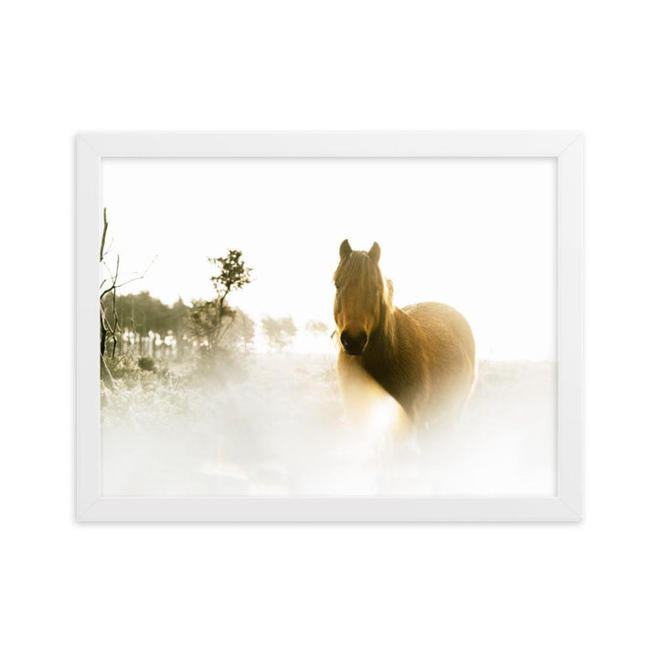 Pferd im Traum - Poster im Rahmen Weiß / 30×40 cm artlia