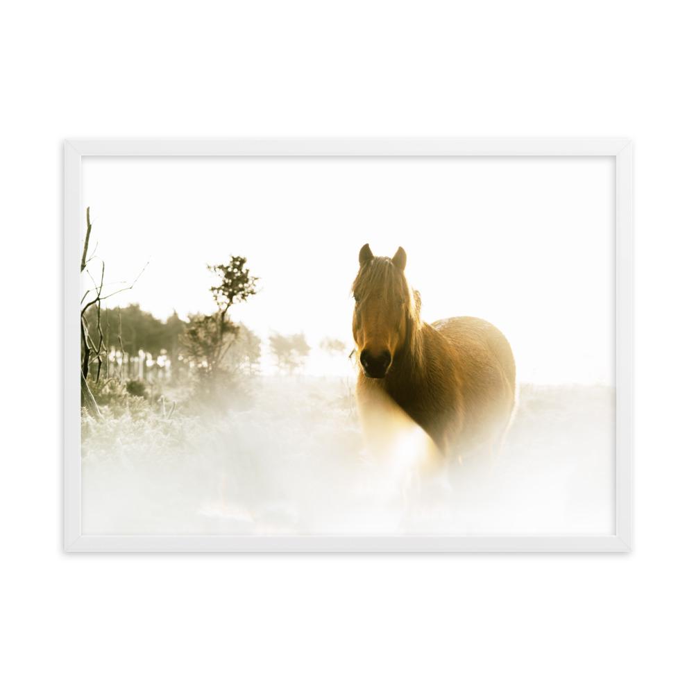 Pferd im Traum - Poster im Rahmen Weiß / 50×70 cm artlia