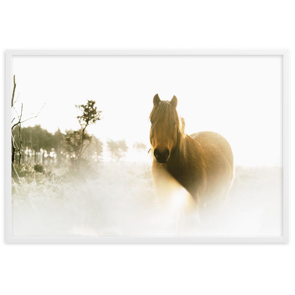 Pferd im Traum - Poster im Rahmen Weiß / 61×91 cm artlia