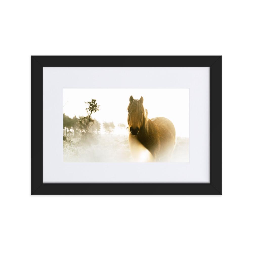Pferd im Traum - Poster im Rahmen mit Passepartout Schwarz / 21×30 cm artlia
