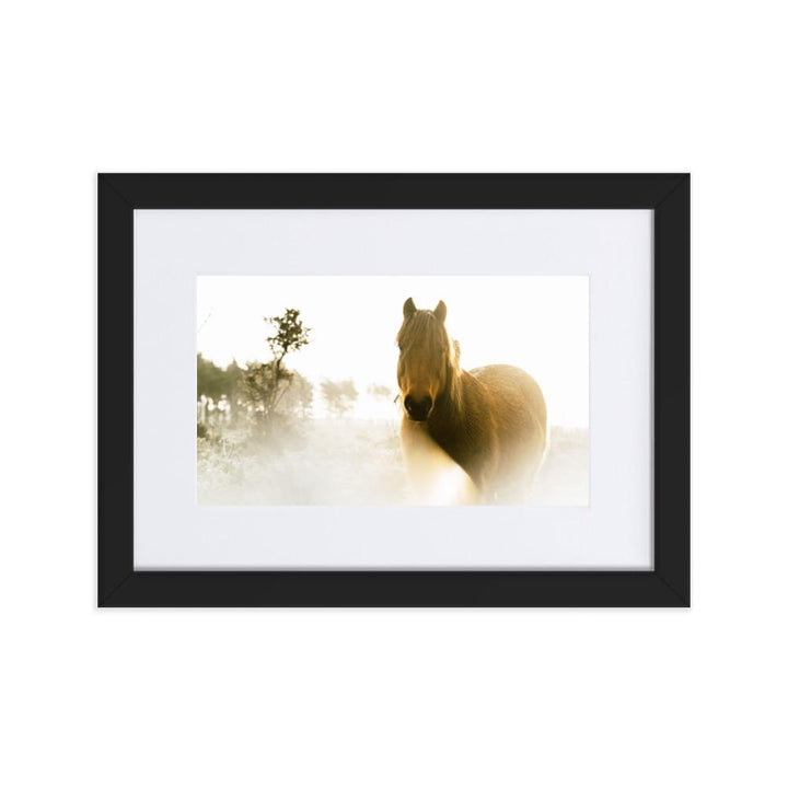 Pferd im Traum - Poster im Rahmen mit Passepartout Schwarz / 21×30 cm artlia