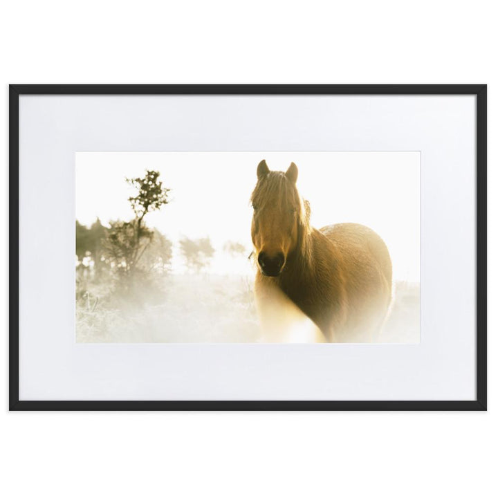 Pferd im Traum - Poster im Rahmen mit Passepartout Schwarz / 61×91 cm artlia