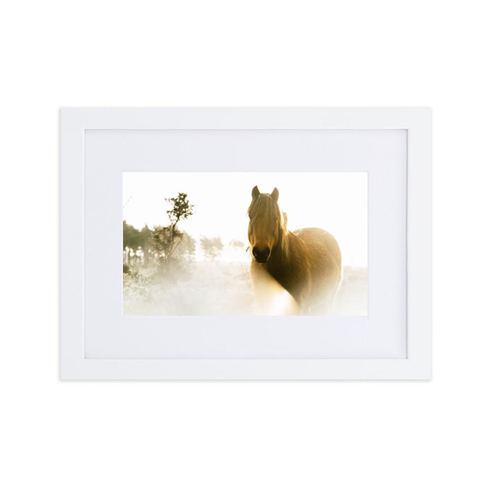 Pferd im Traum - Poster im Rahmen mit Passepartout Weiß / 21×30 cm artlia