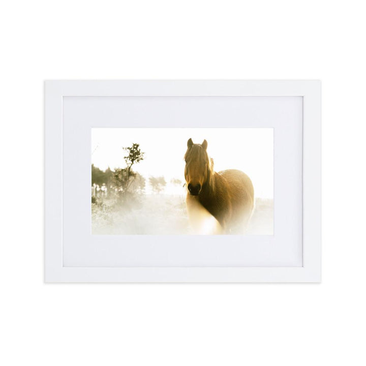 Pferd im Traum - Poster im Rahmen mit Passepartout Weiß / 21×30 cm artlia